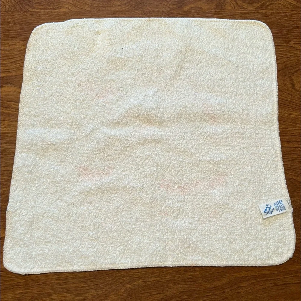 Holly Hobbie Vintage New Old Stock One Wash Cloth Washcloth Friends Music Band B